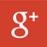 Google+ icon