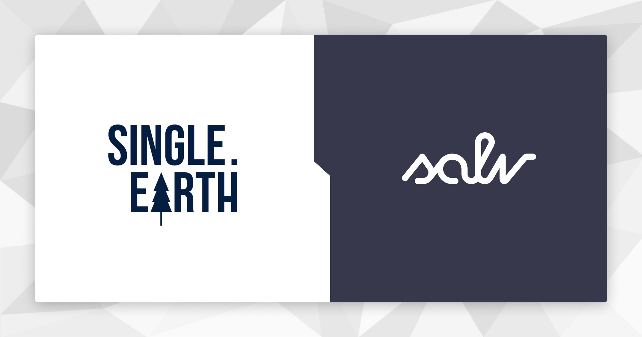 Single.Earth Partners with Salv to Stop Financial Crime