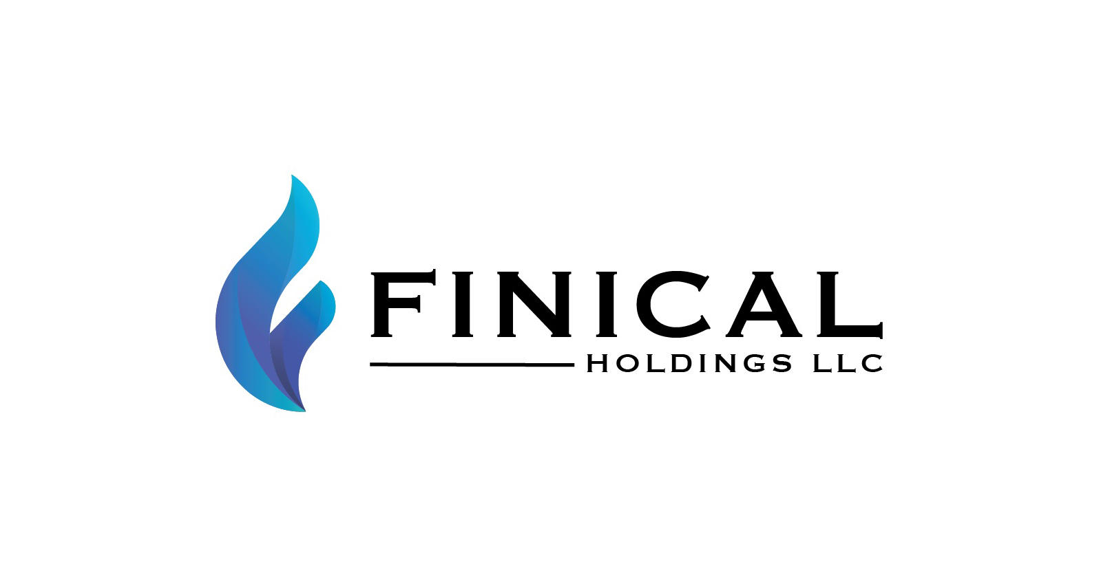 Payments Industry Veteran Joins Finical