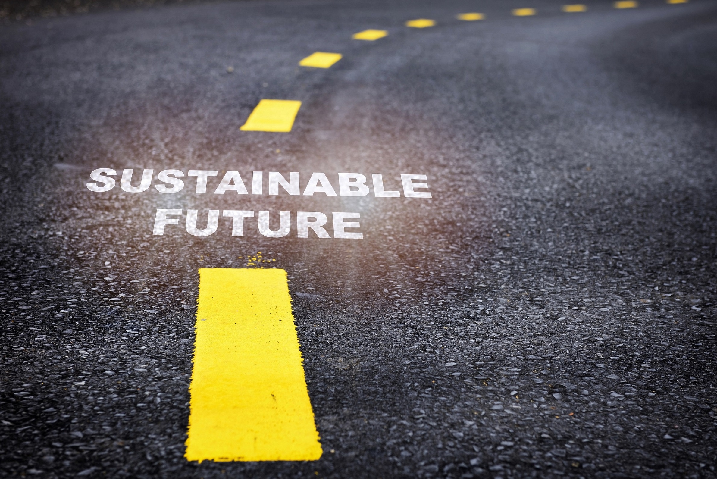 Every Sme can take Simple Steps Towards Sustainability