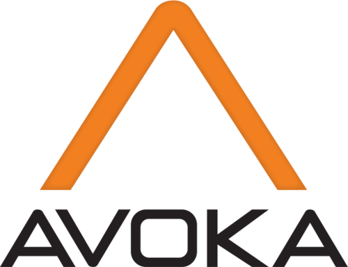 Avoka Congratulates HSBC as it wins Celent’s Model Bank Award 