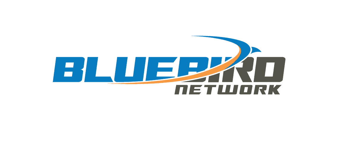 Reliability, Security, and Dedicated Customer Service – VP of IT at Wilson Logistics Discusses His Customer Journey with Bluebird Underground