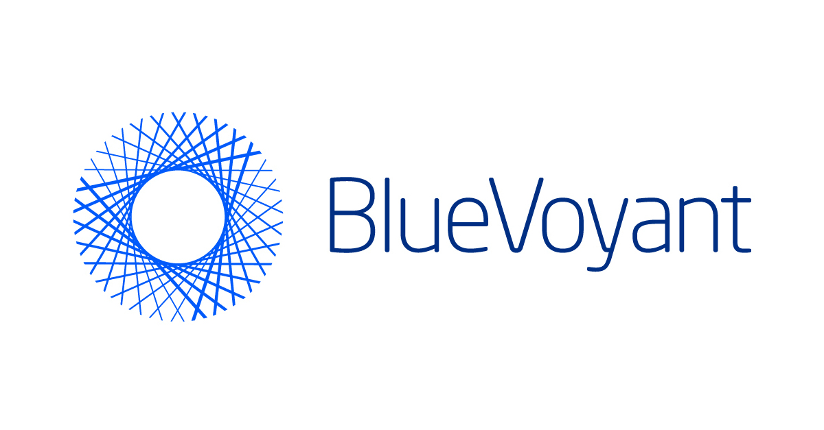 BlueVoyant Performance Demonstrates Strong, Global Demand for Cybersecurity Services