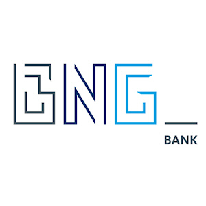 BNG Bank Selects BearingPoint for RegTech