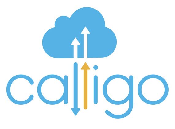 Calligo Pushes Growth Strategy with Senior Appointments