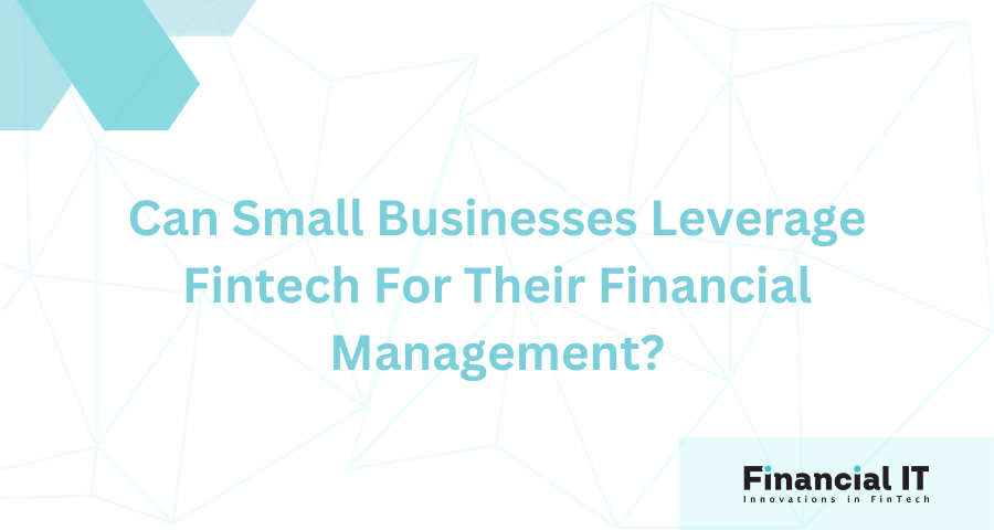 Can Small Businesses Leverage Fintech For Their Financial Management?