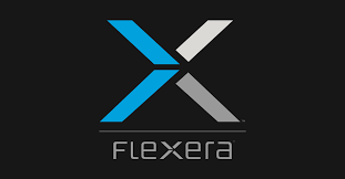 Monetisation comes of age but security risk grows, Flexera’s top 5 IOT predictions for 2019
