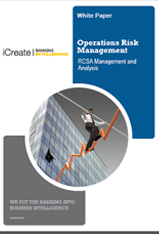 Operations Risks Management: RCSA Management and Analysis