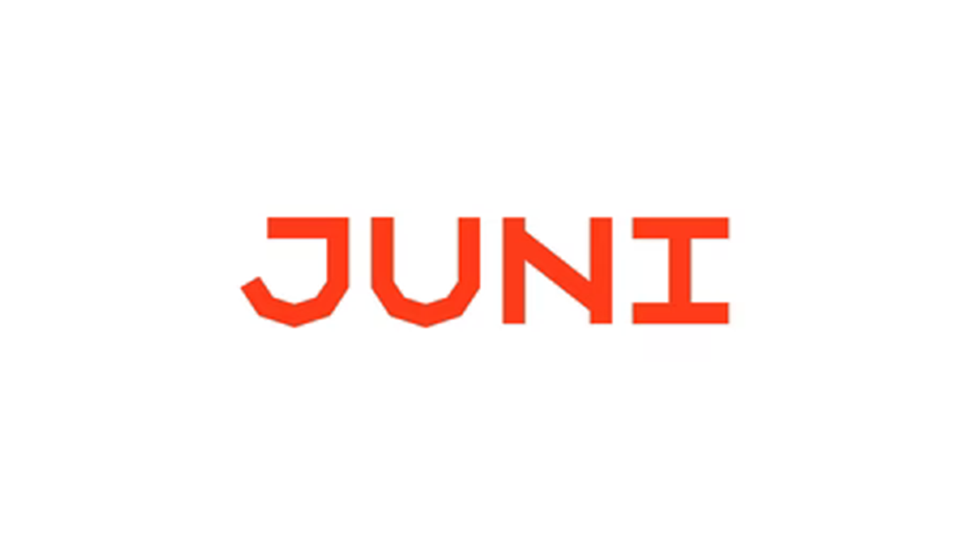 Fintech Juni Raises $206M in Major Funding Round to Fuel e-commerce Businesses