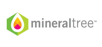 MineralTree reveals virtual card support for top 3 networks