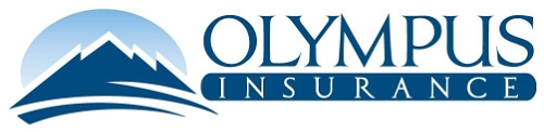 Olympus Insurance Company, Names Martin Newby as Vice President of Claims