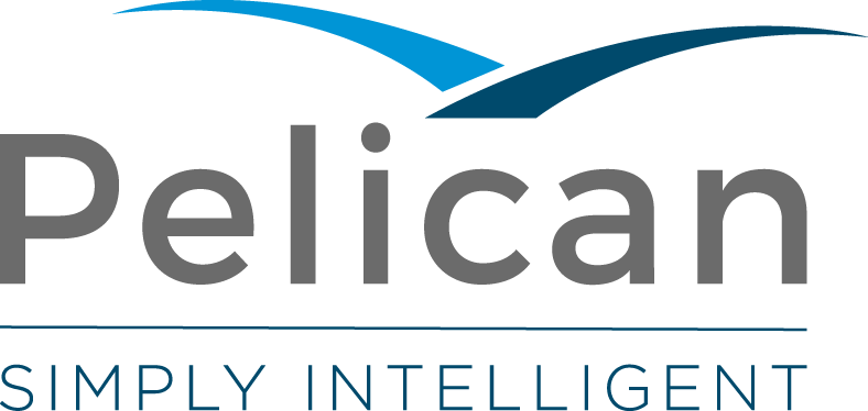 Pelican Senior Business Analyst recognised in BAFT ‘Future Leader’ Program 2018