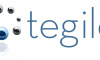 Tegile software logo