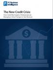 The New Credit Crisis: How Credit Risk Analytics Professionals are Managing Critical Changes to their Business