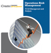 Operations Risks Management: RCSA Management and Analysis
