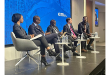 Flutterwave CEO Speaks at US-Africa Leaders Summit 2022 Panel