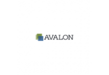 Avalon Solutions Group Unveils Payments App for Small Biz