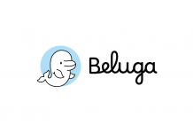 Crypto Platform Beluga Secures $4M in Seed Round