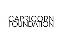 Capricorn Foundation: Stablecoin Is Making Waves in Traditional Economy