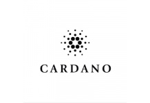 Cardano Launches ADA Futures on BitMEX