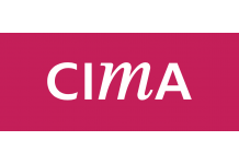 CIMA: Management Controls: The Solution for Banks in Iceland and Denmark 