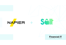 Napier AI and Salt Bank Partner to Secure NextGen...