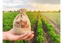 How Satellite Imagery Analytics is Transforming Agricultural Lending