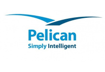 Pelican unveils PelicanFast for real-time payments processing and compliance
