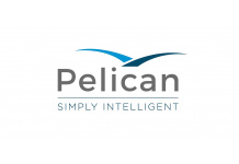 Pelican Finds Industry Needs to Gain Understanding of AI Technologies Apply in Payments