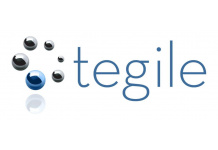 International Decision Systems to implement Tegile hybrid 