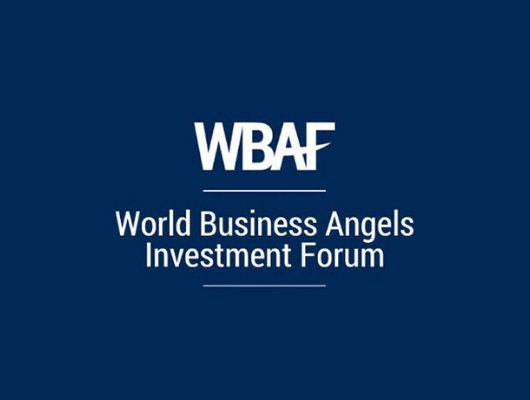 Vertex Group Founder and CEO Gagan Arora Appointed as Senator for India at World Business Angels Investment Forum