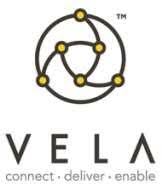 Vela to Buy OptionsCity Software