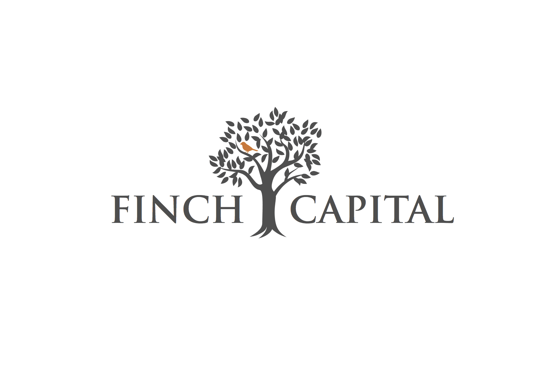 Finch Capital, Through Nomu Pay, Acquires Wirecard Turkey 